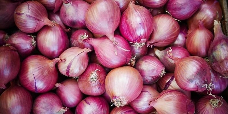 Onion Exporter and Onion Supplier in Indonesia