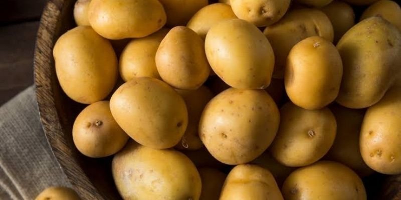 Why Indian Potatoes Are Preferred in Global Markets?