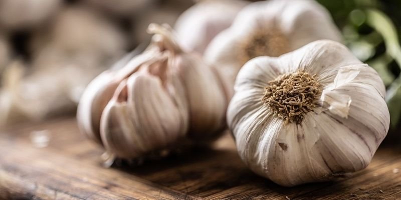 How to Choose High-Quality Garlic for Your Business?