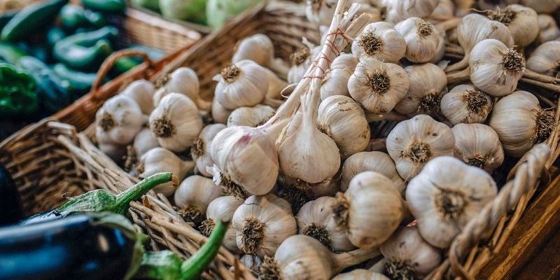Garlic Exporter and Garlic Supplier in the United Kingdom