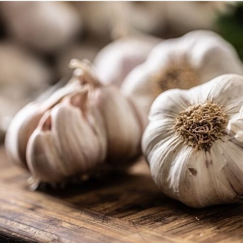 Garlic