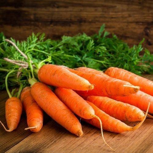 Carrot
